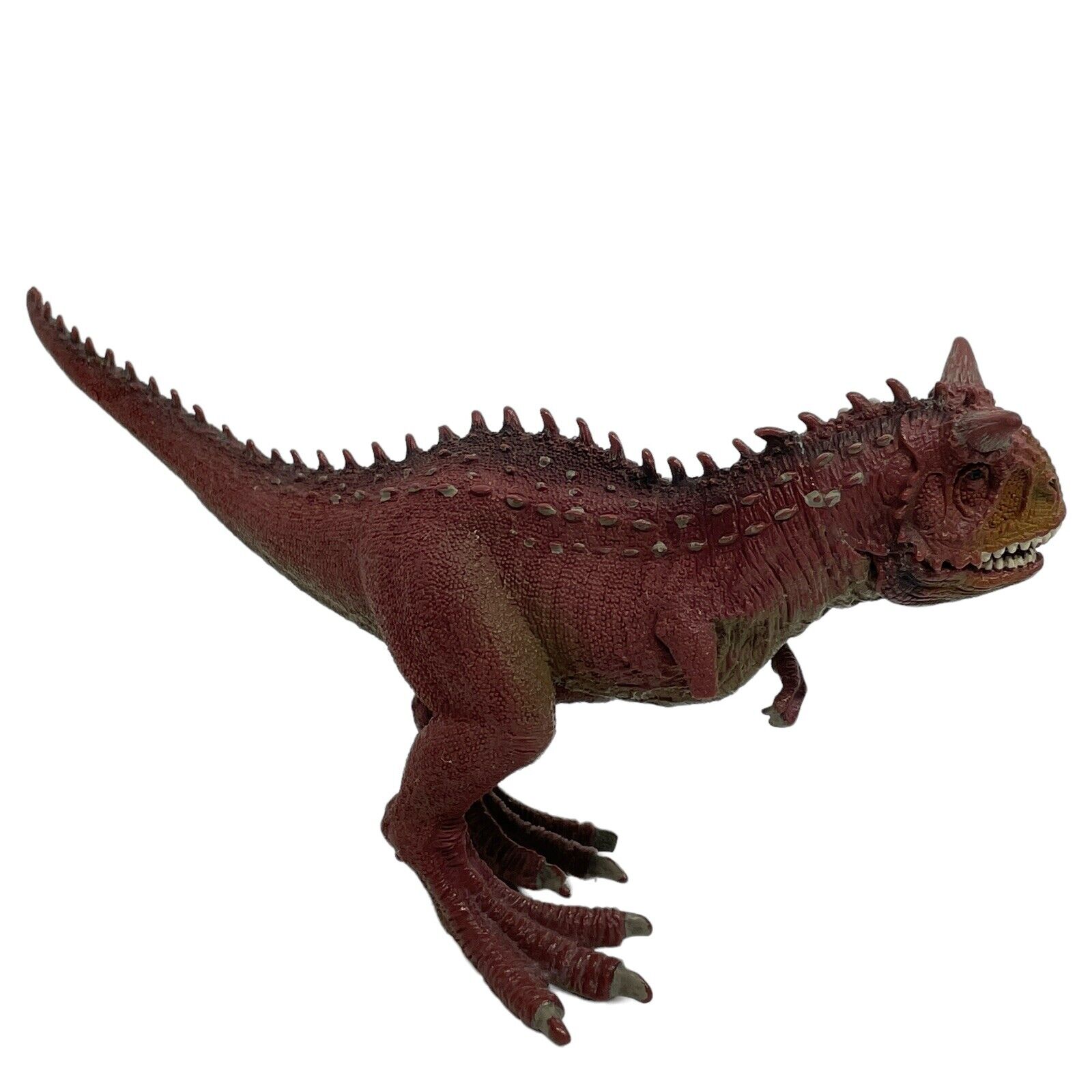 Schleich 2012 Carnotaurus Dinosaur D 73527 Figure Movable Jaw Prehistoric Flaw