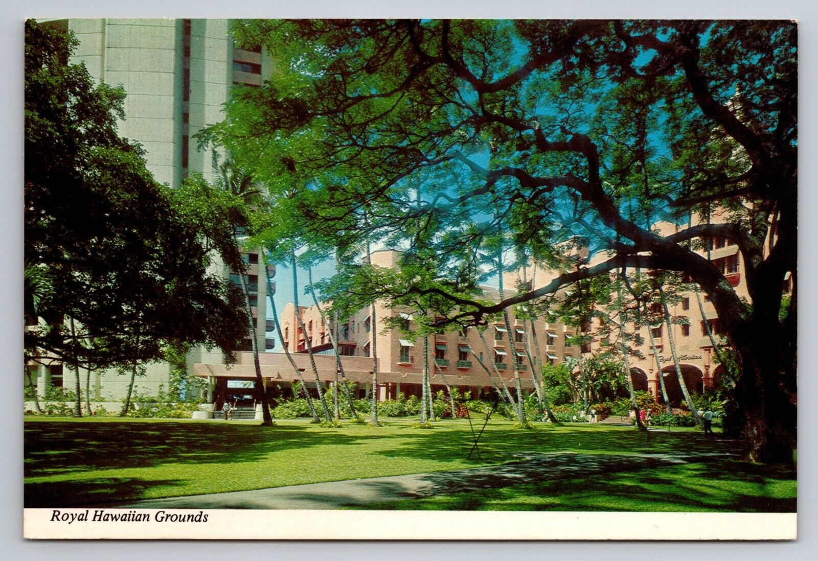 Royal Hawaiian Hotel Hawaii Honolulu Vintage Unposted Postcard