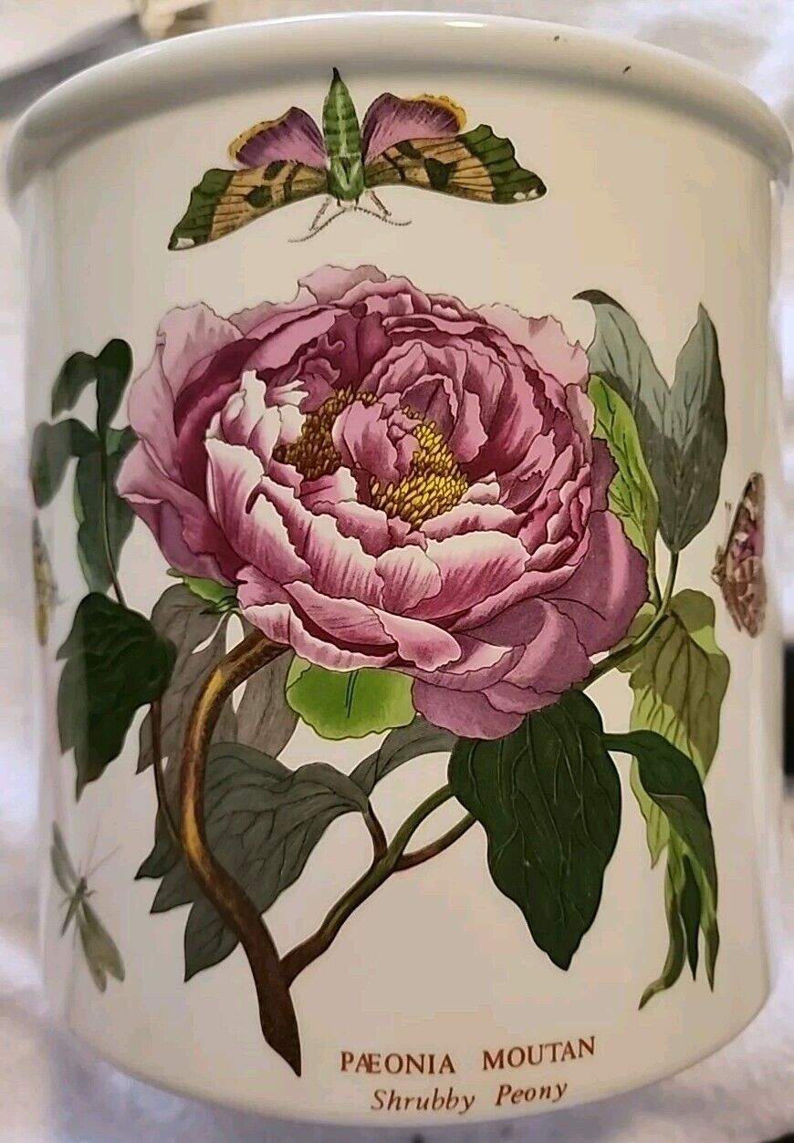 Rare Vintage Paeonia Moutan Botanic Garden Porcelain- CANISTER ‘Shrubby Peony’