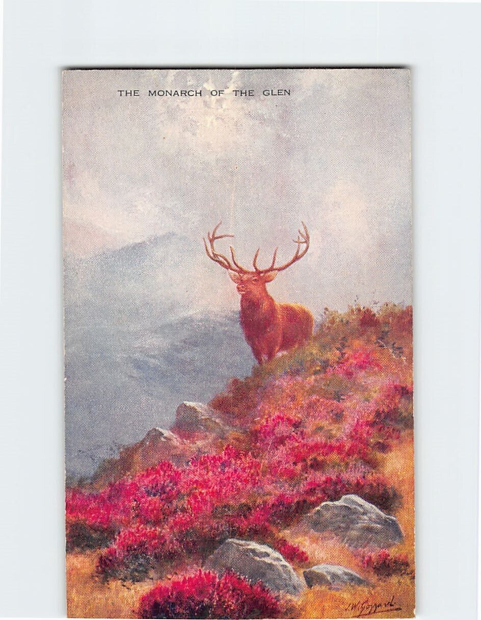 Postcard The Monarch Of The Glen