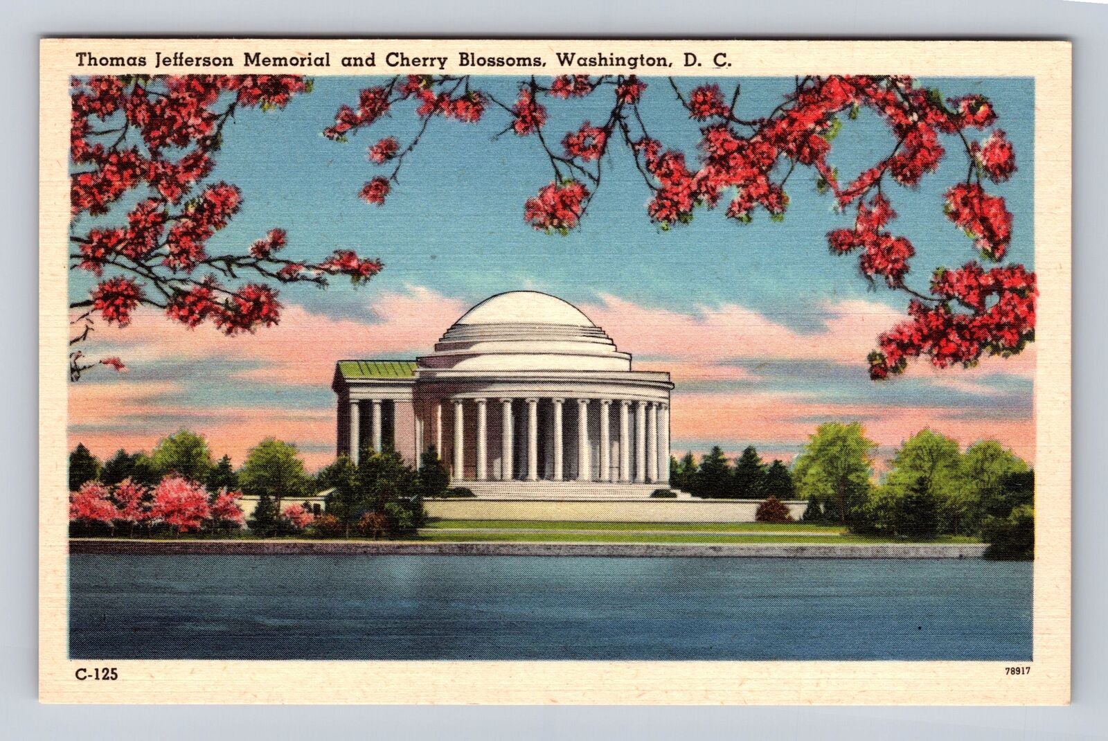 Washington D.C. Jefferson Memorial, Cherry Blossoms, Antique Vintage Postcard