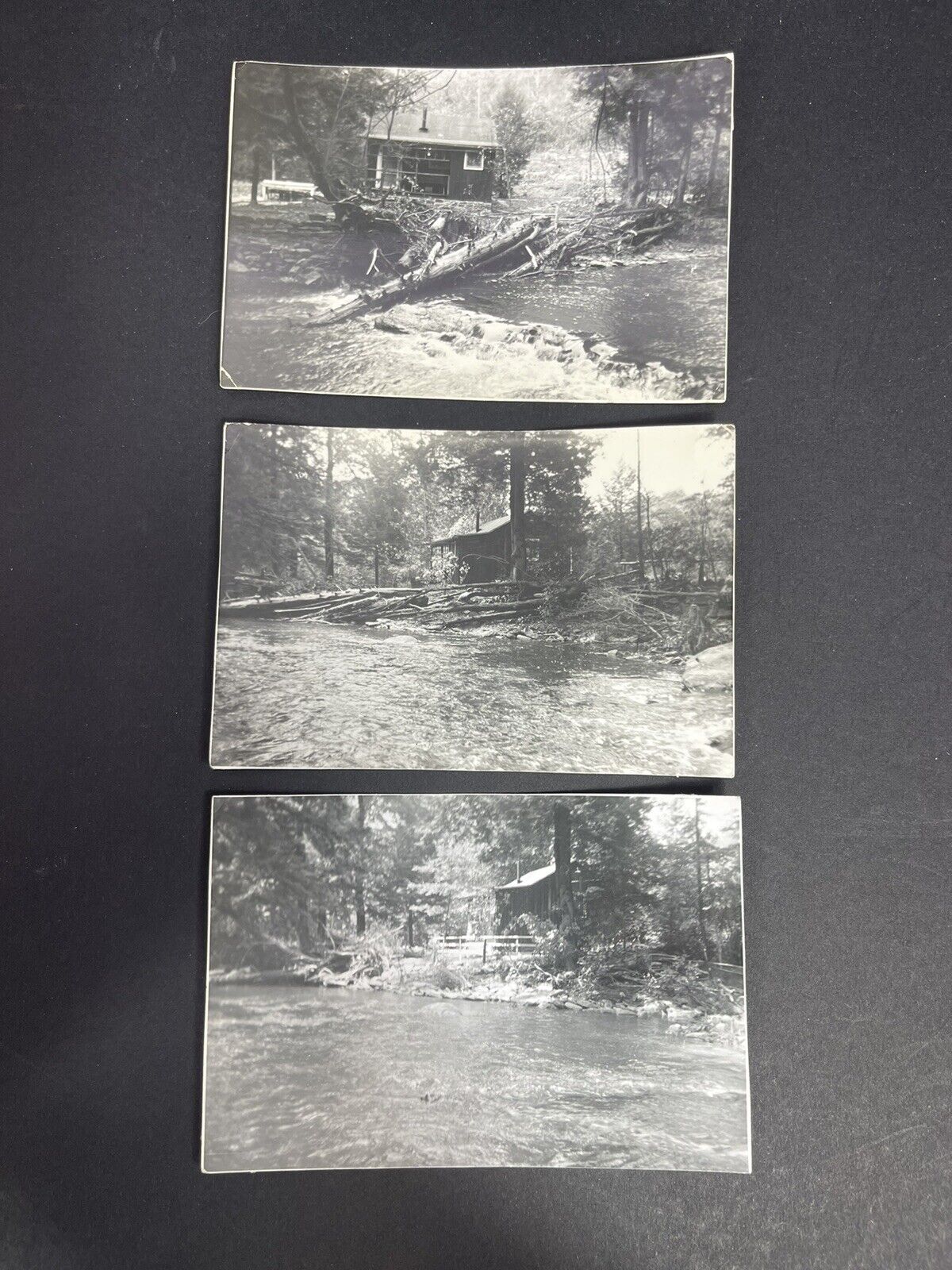 Lot Of 3 Photographs Of A Flood - Broken Trees, Rushing Water See Description