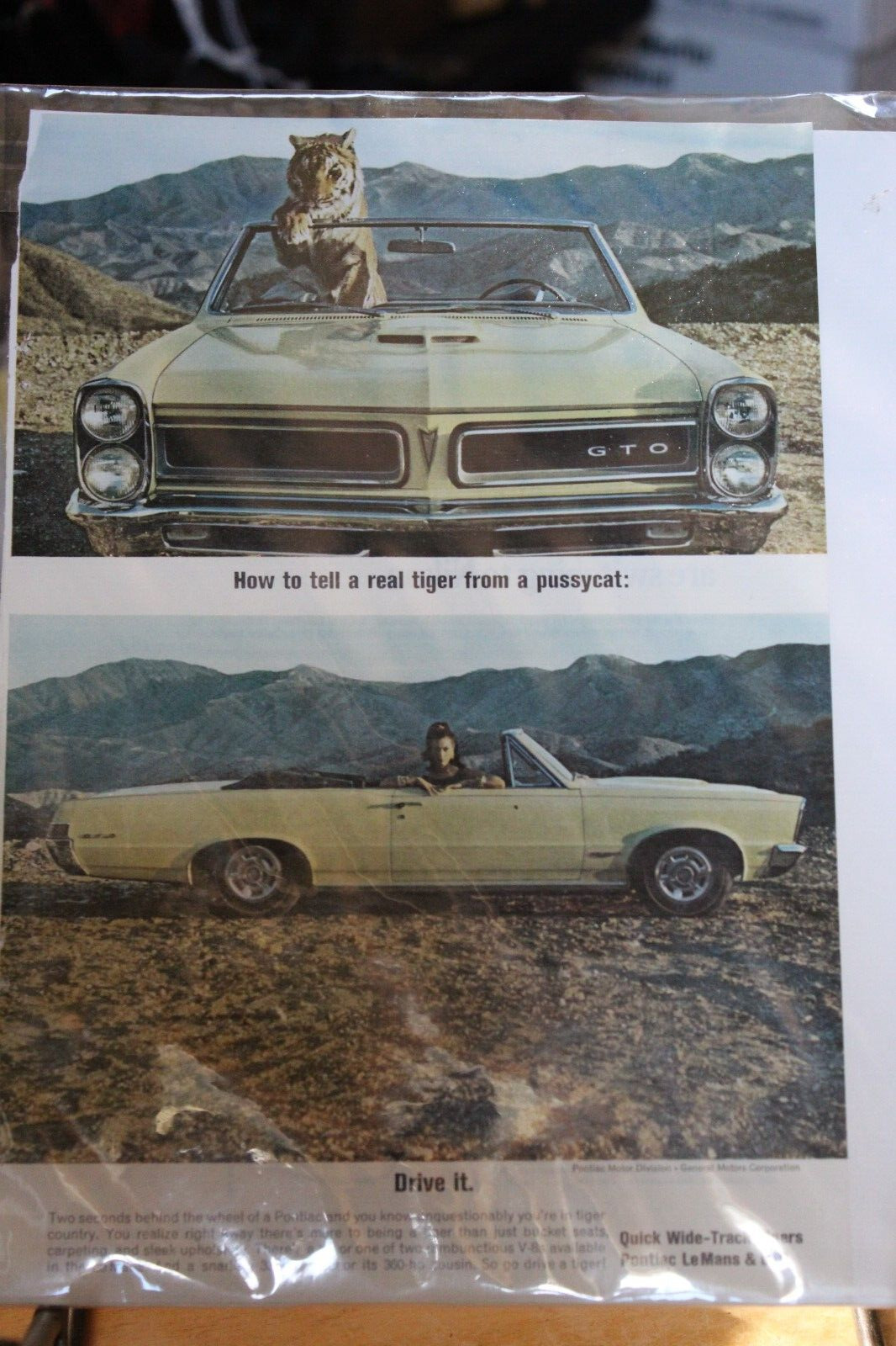 Pontiac GTO Advertisement
