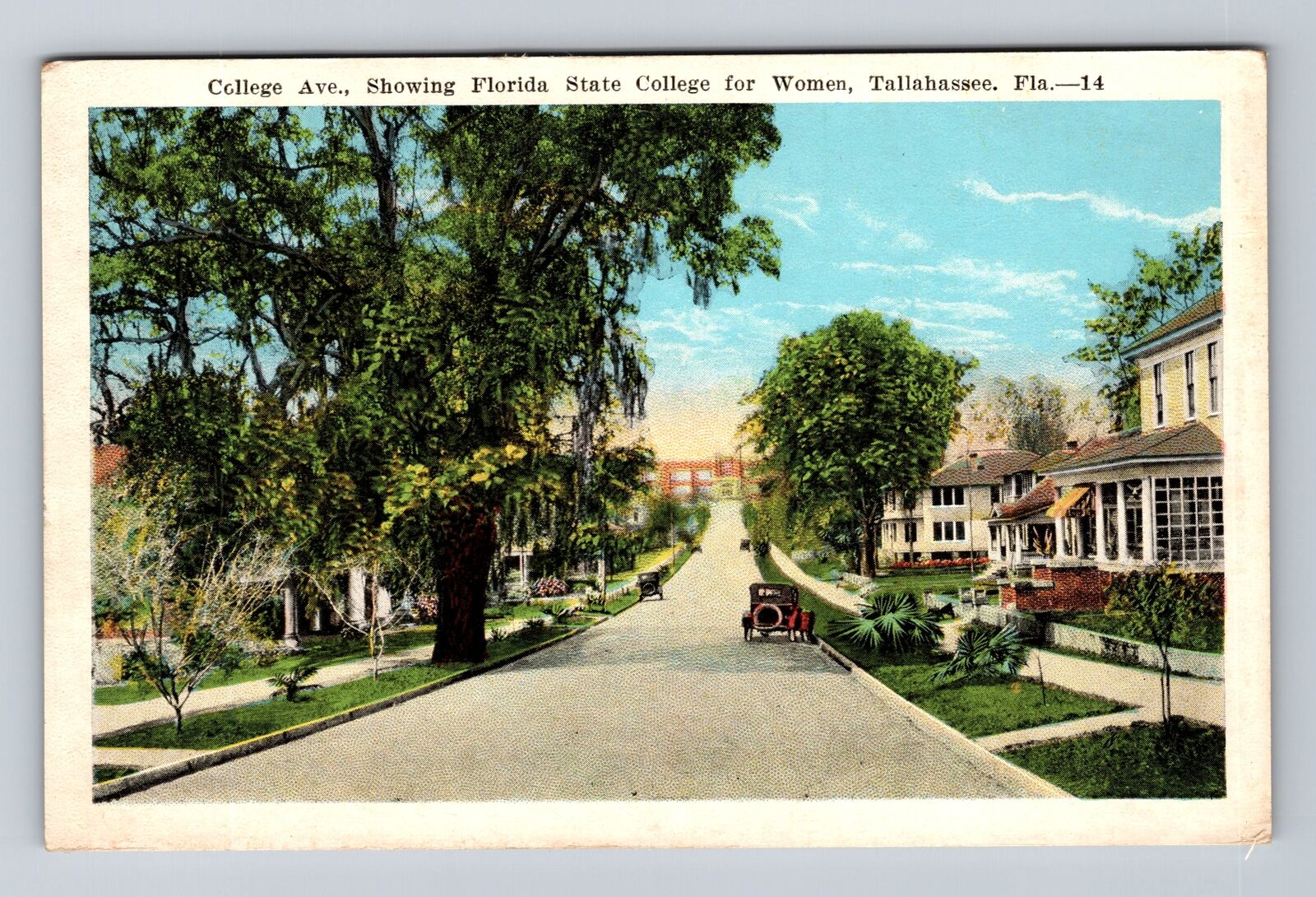 Tallahassee FL-Florida, Florida State College for Women Vintage Postcard