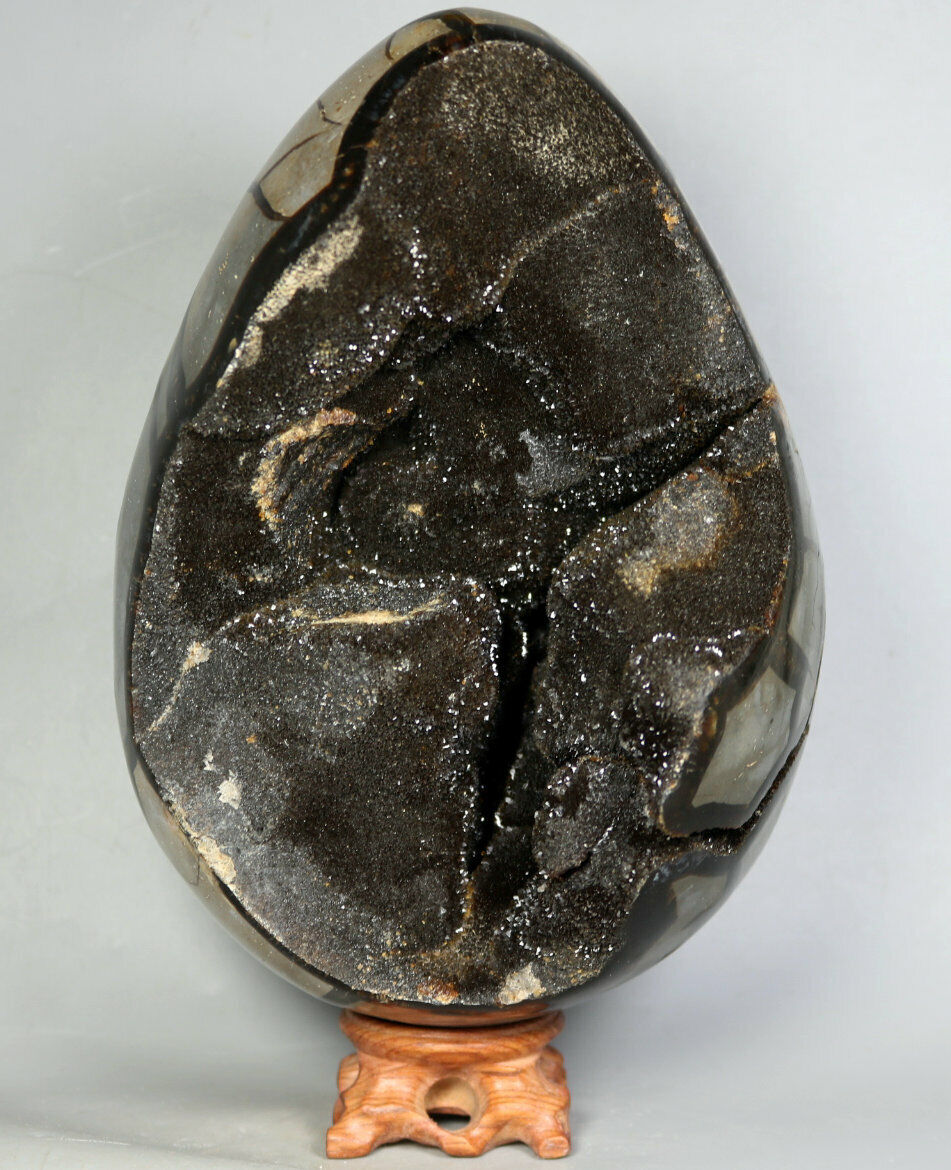 7.51lb Polished DRAGON SEPTARIAN Crystal GEODE SPHERE Egg Madagascar / Stand