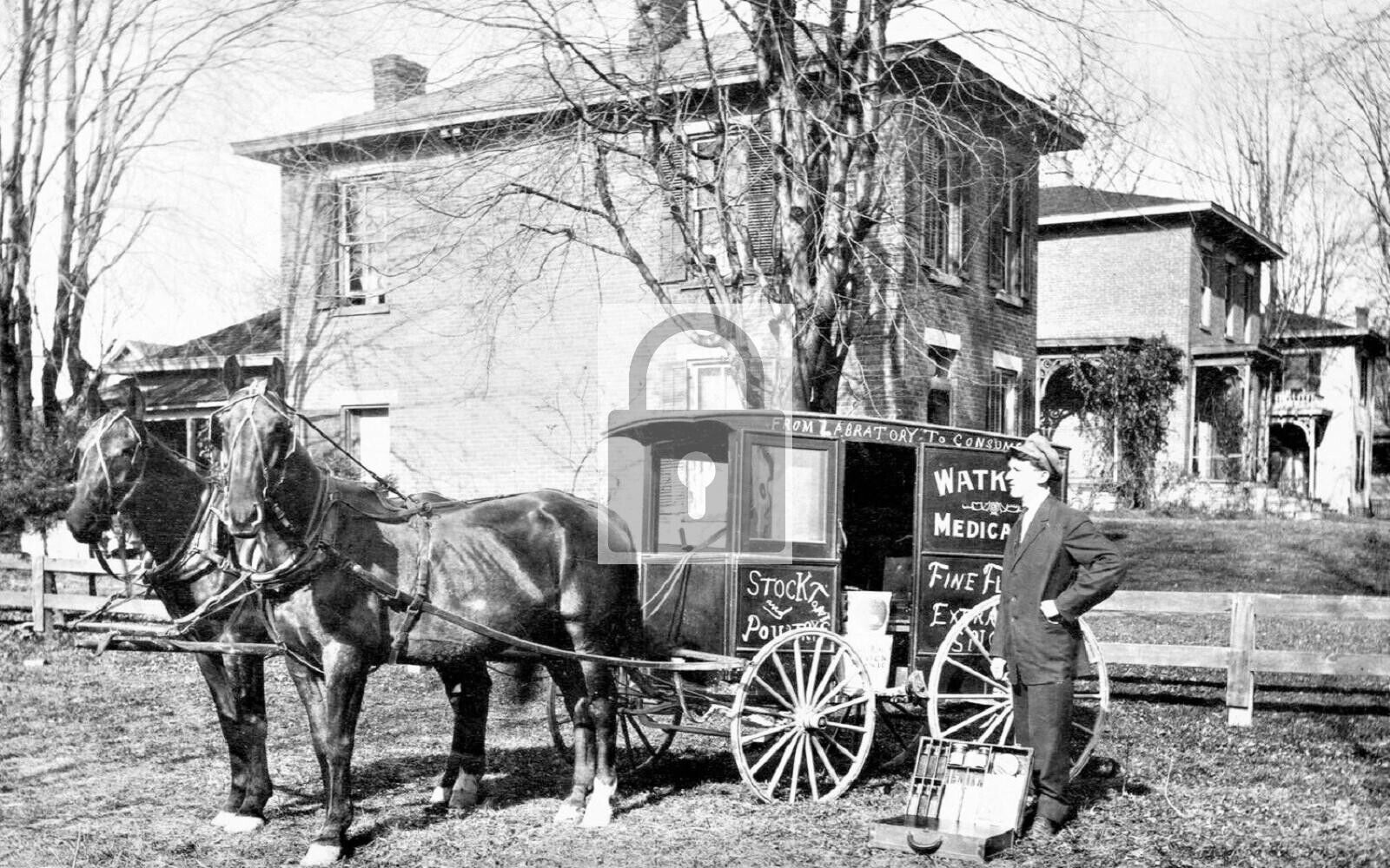 Watkins Medical Wagon Delaware Ohio OH Reprint Postcard