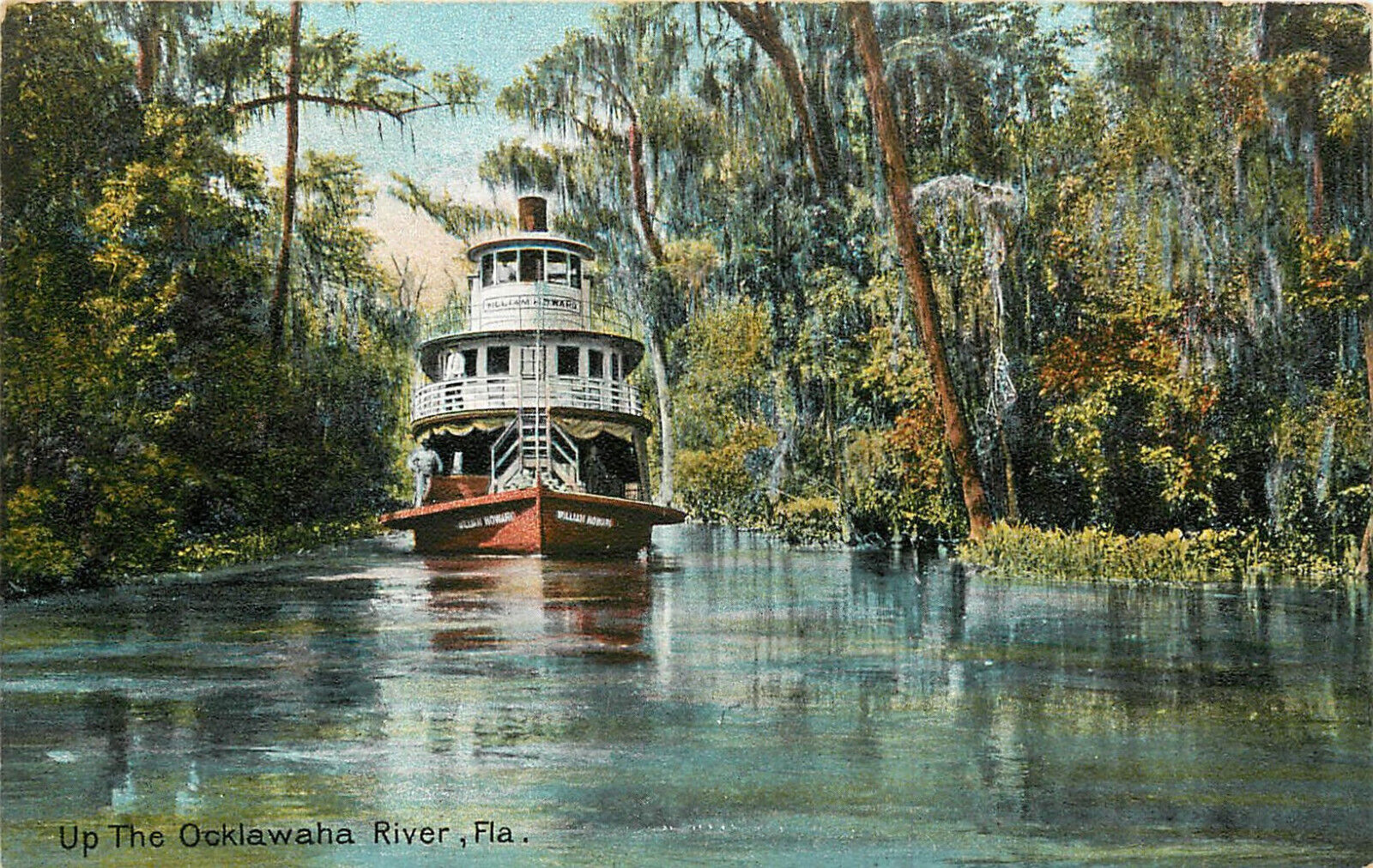 Vintage Postcard Up the Ocklawaha River In a Steramboat FL 26690 Leighton