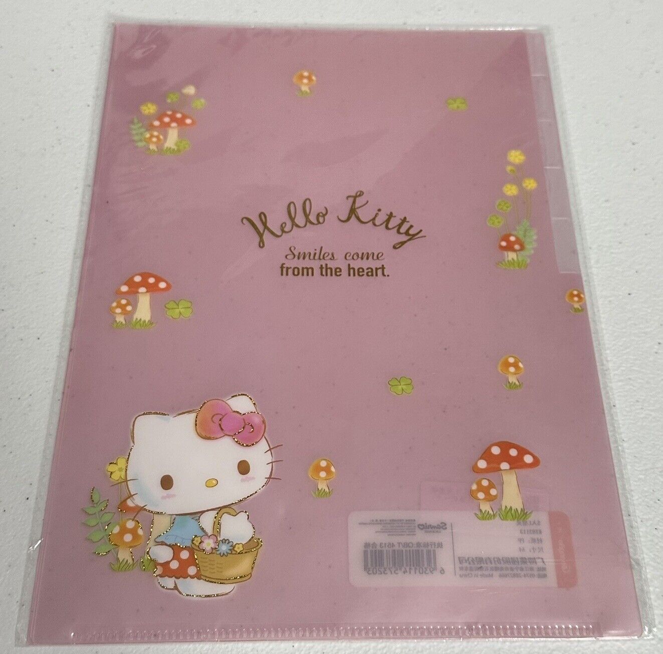 Eva Air Hello Kitty A5 File