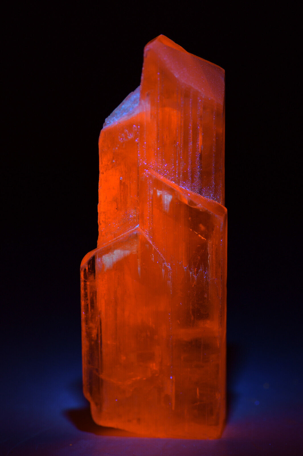 Terminated Spodumene crystal, fluorescent orange. Afghanistan. 152 grams. Video.