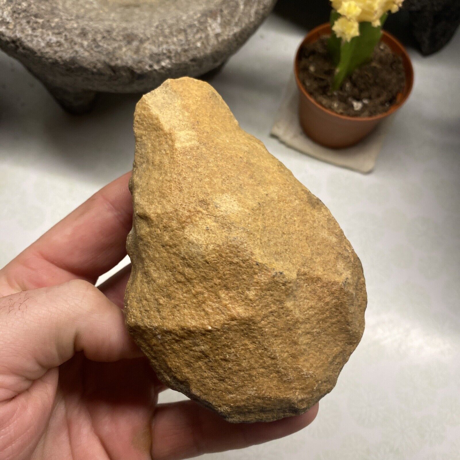 MLC s8807 4 1/2” Paleolithic ACHEULEAN Old HOMO ERECTUS Man Stone HAND AXE