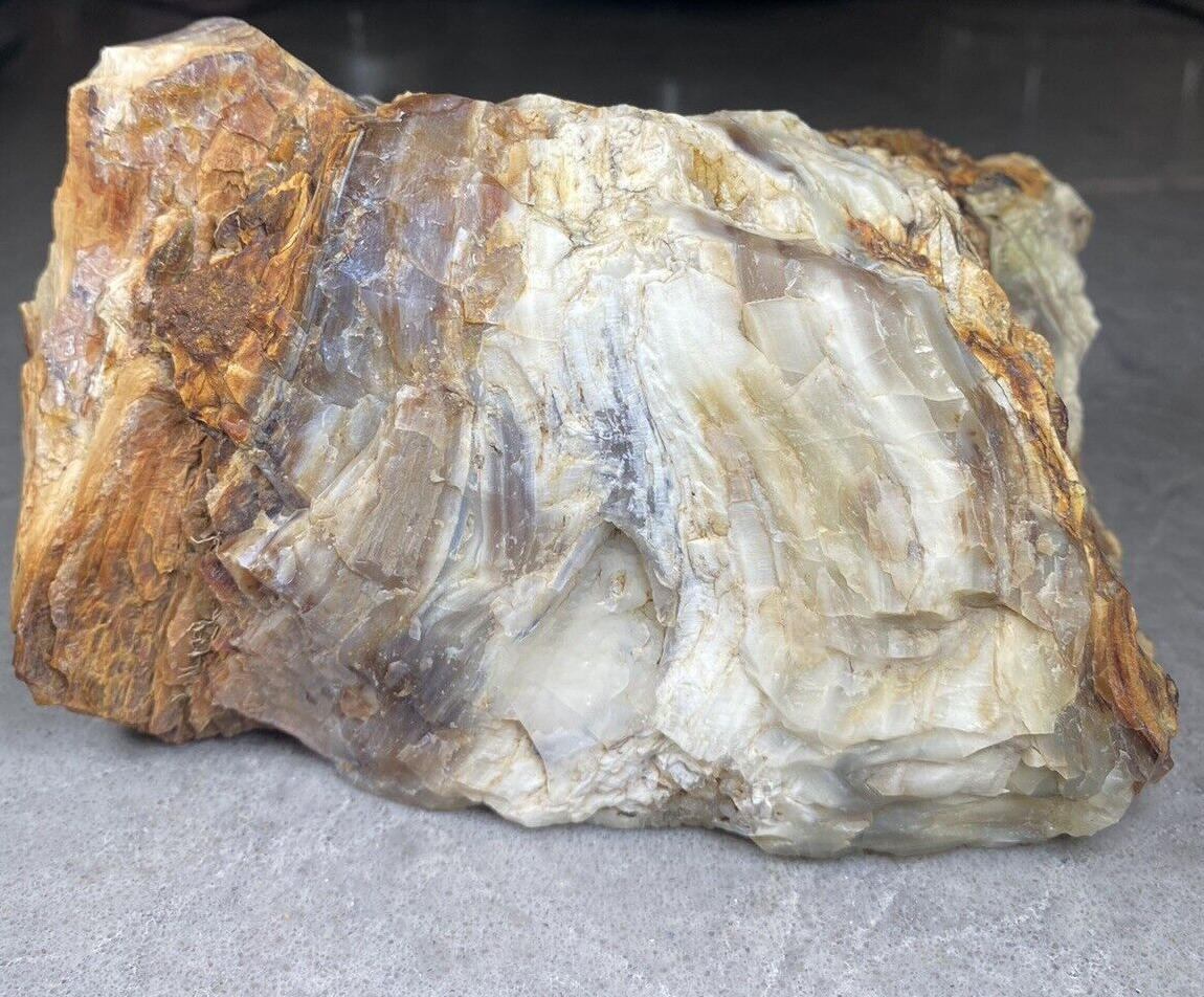 Opalized Petrified Wood 4lb Display Specimen From Oregon's Blue Mountains