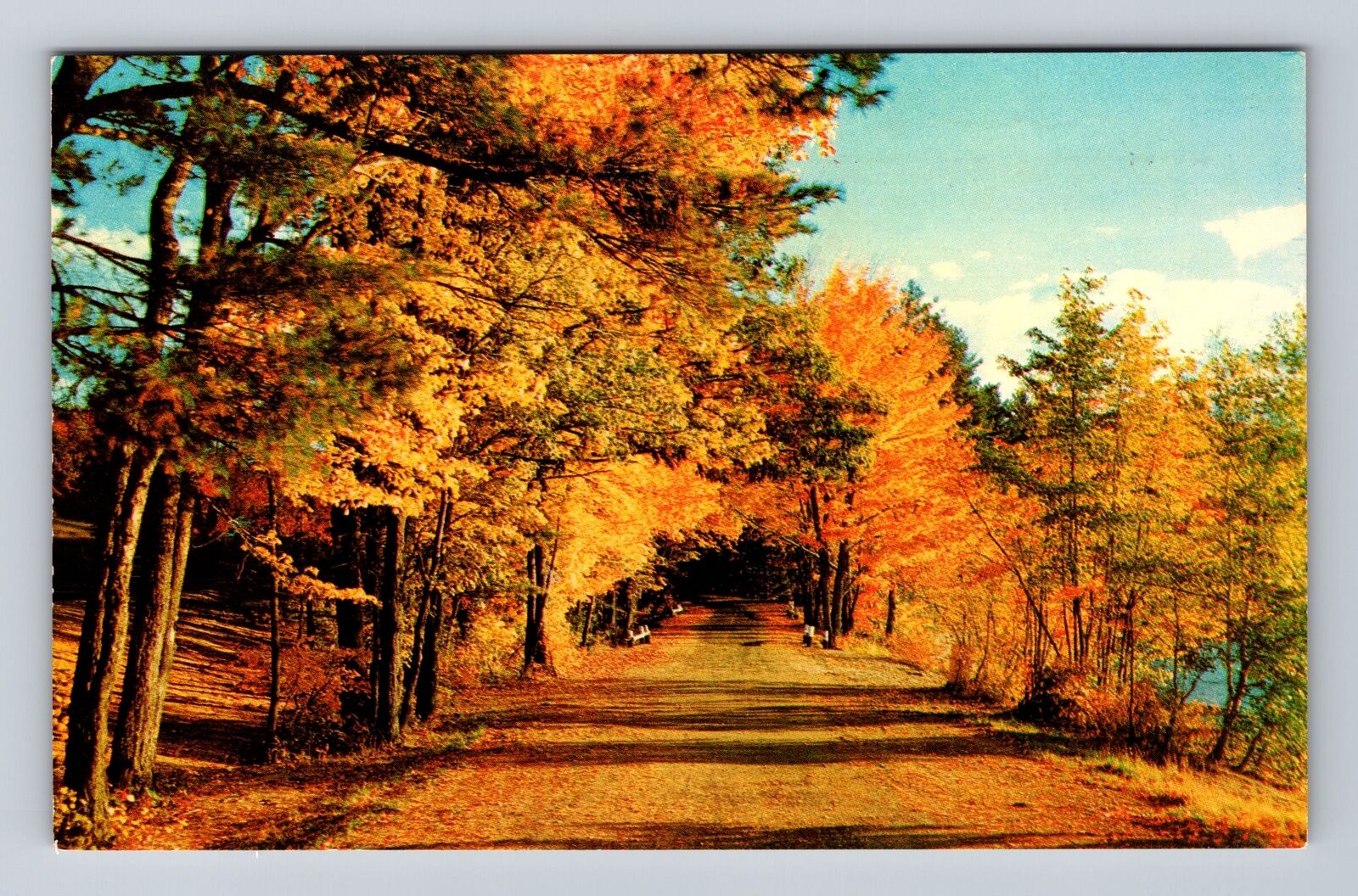 Rushford MN-Minnesota, Scenic Road Drive, Antique Souvenir, Vintage Postcard