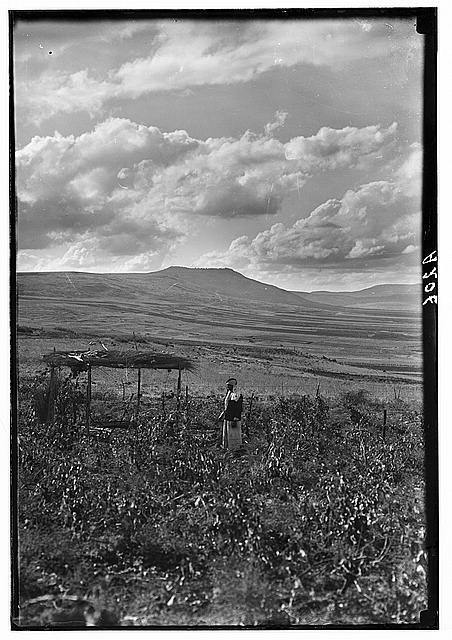 Northern views, Mount of Beatitudes 1920s Old Photo