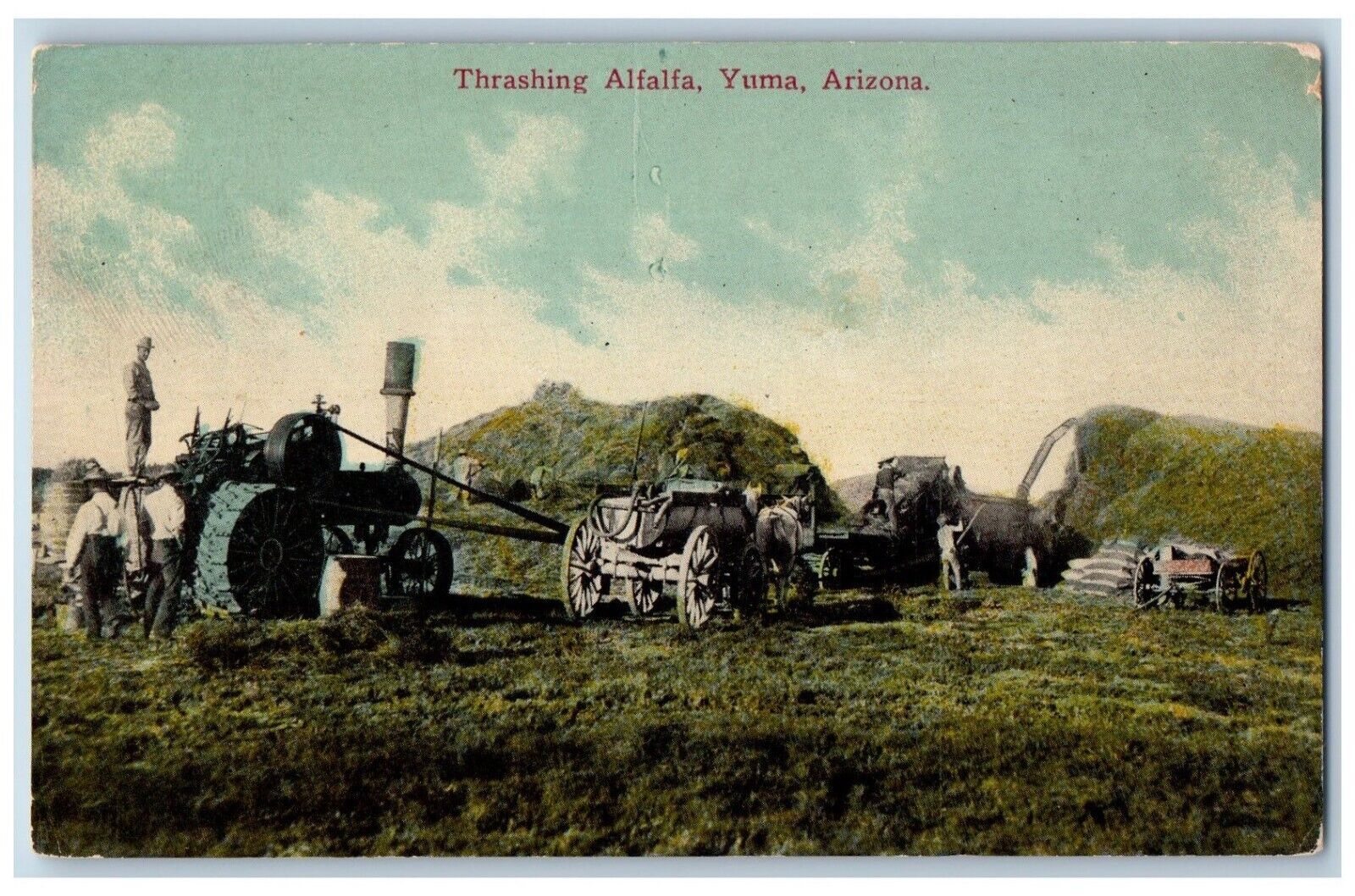 Yuma Arizona AZ Postcard Thrashing Alfalfa Exterior Field c1910 Vintage Antique