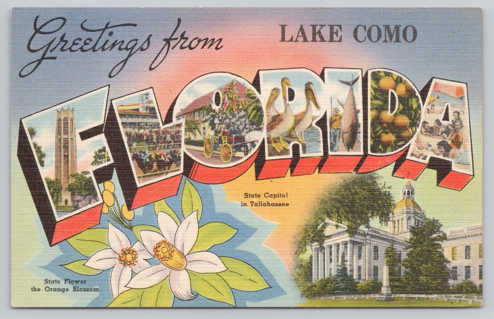 Lake Como Florida, Large Letter Greetings RARE, Vintage Postcard