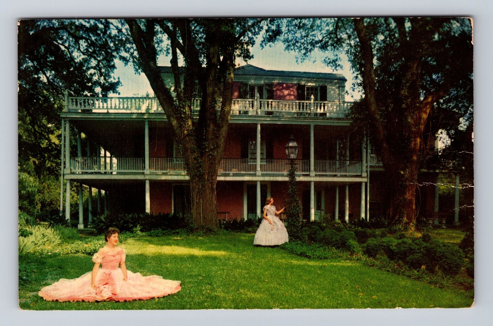 Natchez MS-Mississippi, The Elms, Antique, Vintage Souvenir Postcard