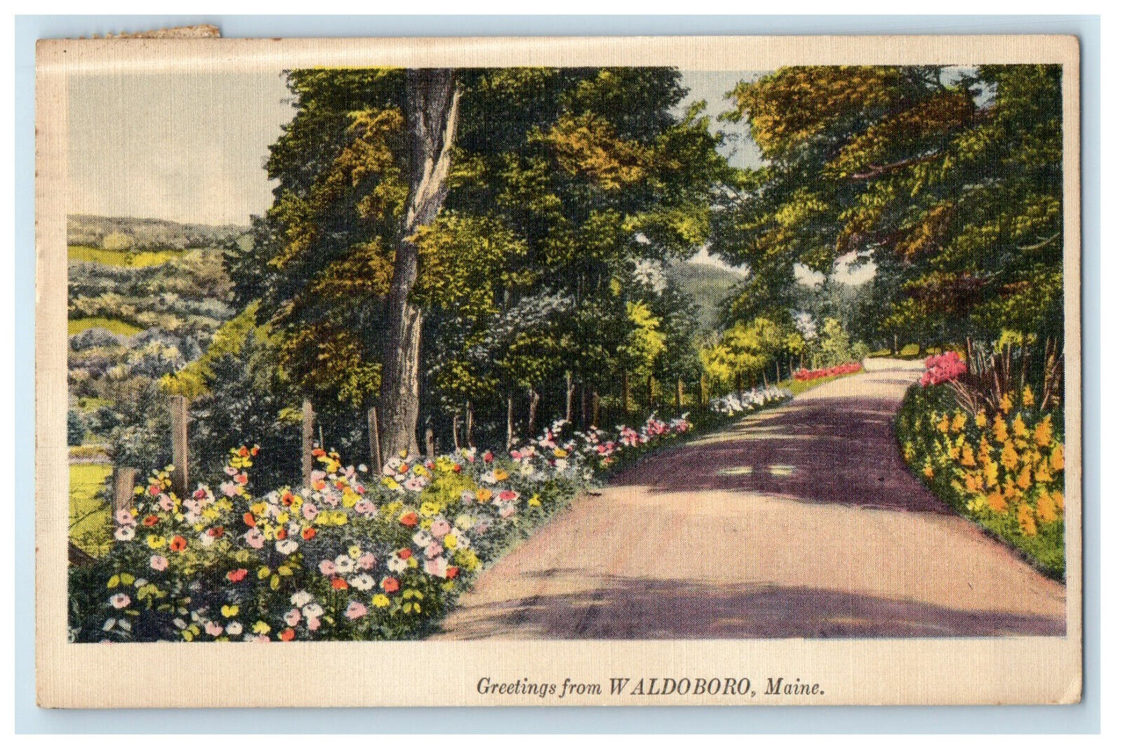 c1930s Road Scene Greetings from Waldoboro Maine ME Posted Vintage Postcard