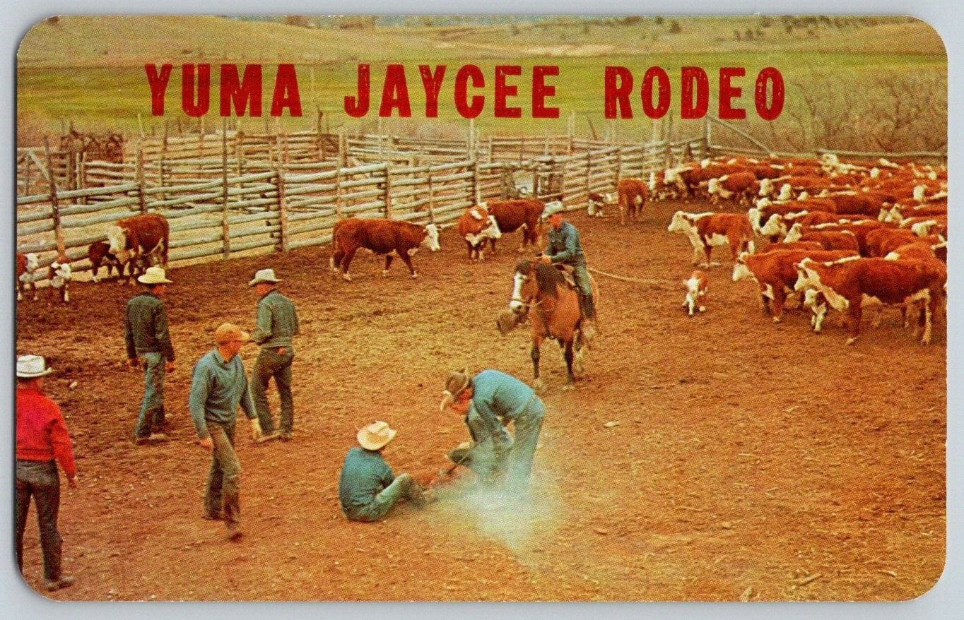 Vintage Postcard~ Yuma Jaycee Rodeo~ Yuma, Arizona~ AZ