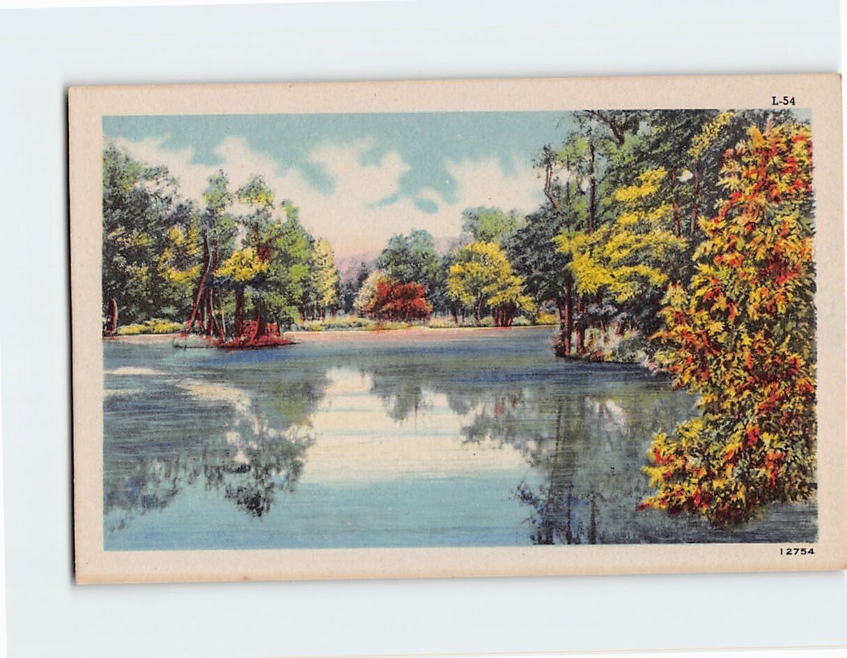 Postcard Lake Nature Trees Landscape Scenery