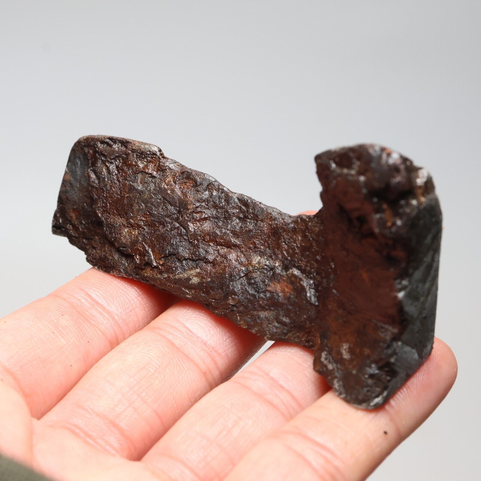 100g  Muonionalusta meteorite part slice C7382