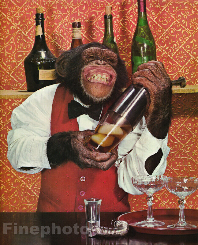 1950s Vintage MONKEY HUMOR Chimpanzee BARTENDER Drinks Wine Bar Photo Art 12x16