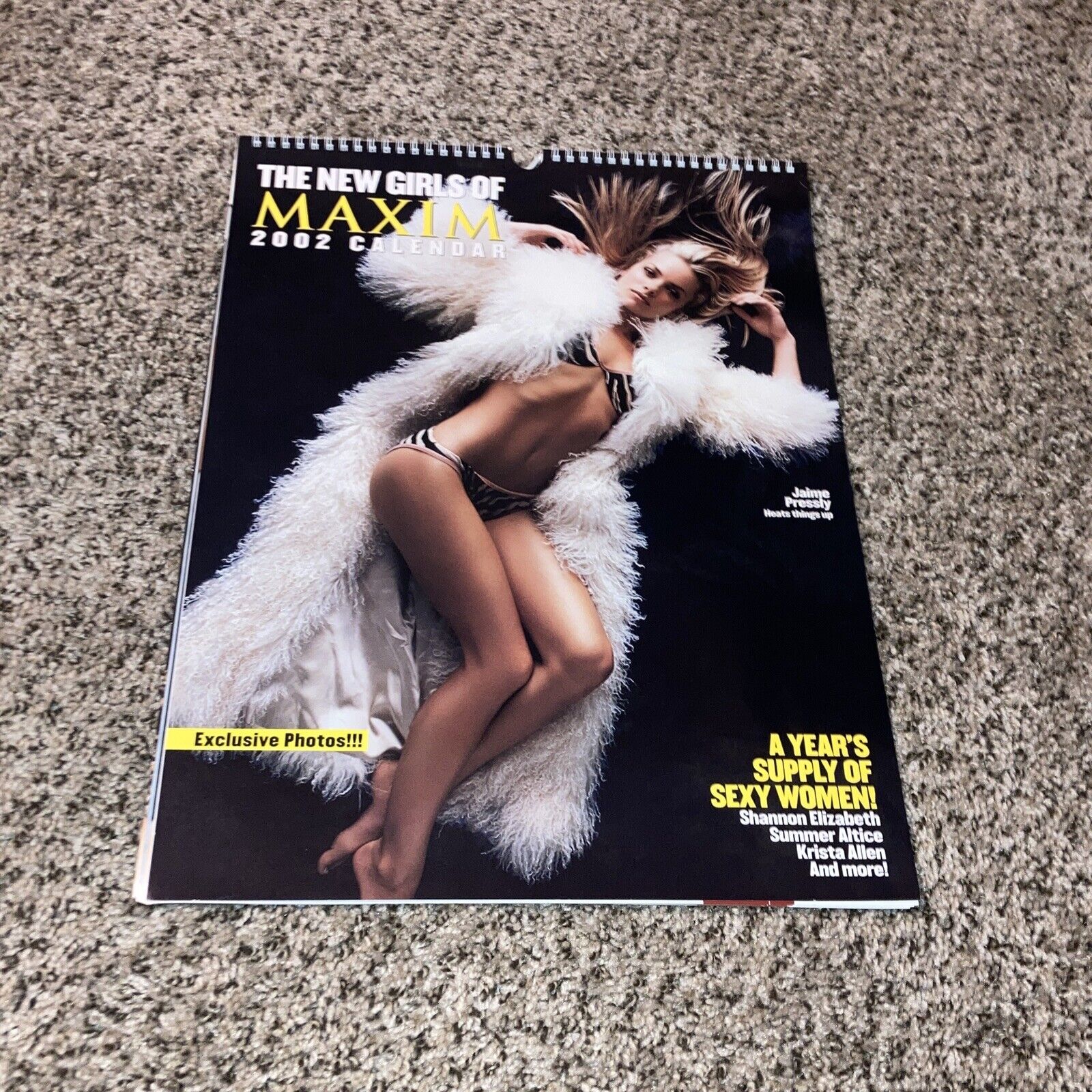 The New Girls of Maxim 2002 Calendar-  Jaime Pressly Vergara 18x14