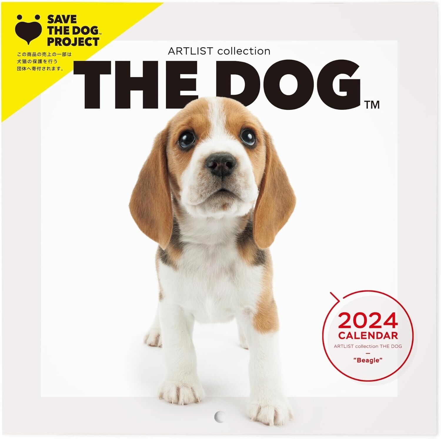 THE DOG 2024 Mini WALL Calendar Beagle 169 × 169 mm