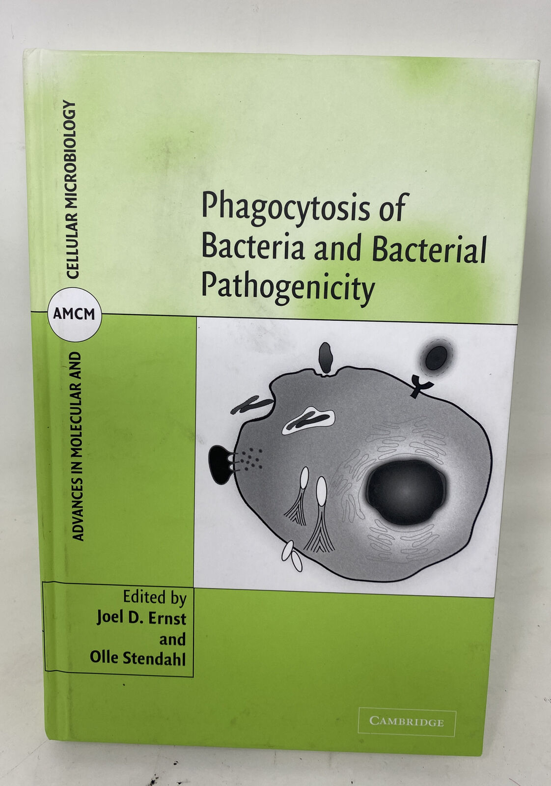Phagocytosis of Bacteria and Bacterial Pathogenicity by MD Ernst, Joel D: New