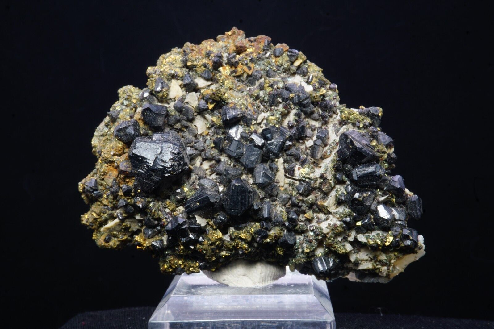 Sphalerite & Chalcopyrite / 7cm Mineral Specimen / Joplin, Missouri