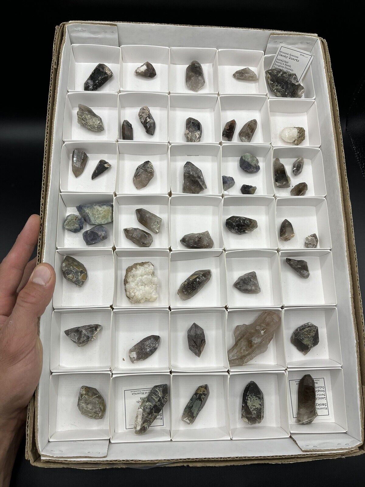 Colorado Minerals, Crystals Flat - 46 Pieces - Smoky Quartz , Fluorites