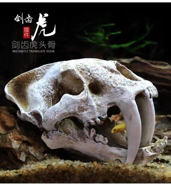 Resin Big Simulation Saber Tooth Tiger Sabertooth Skull Fish tank Aquarium Decor