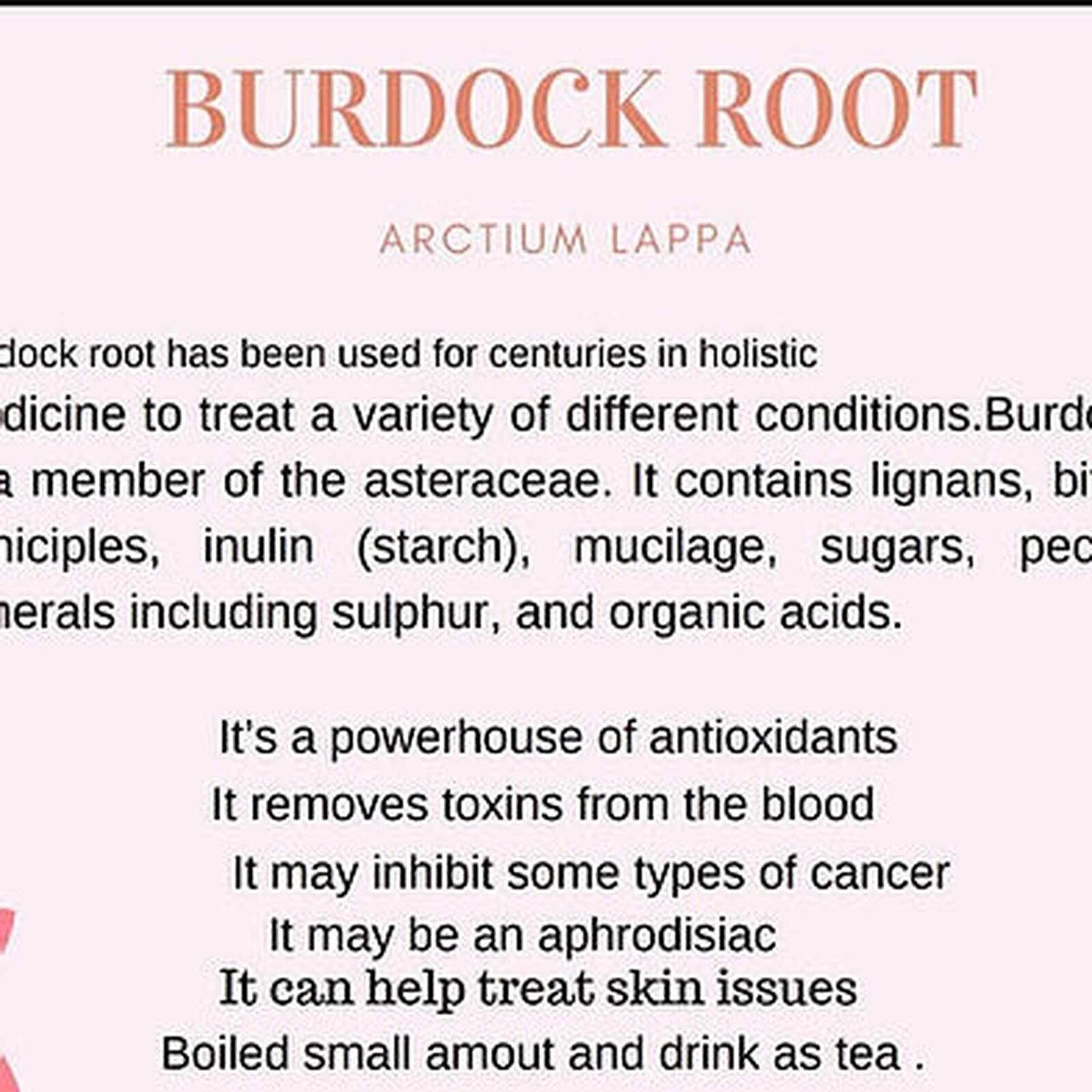 Raw pure Burdock Leaf, Arctium lappa