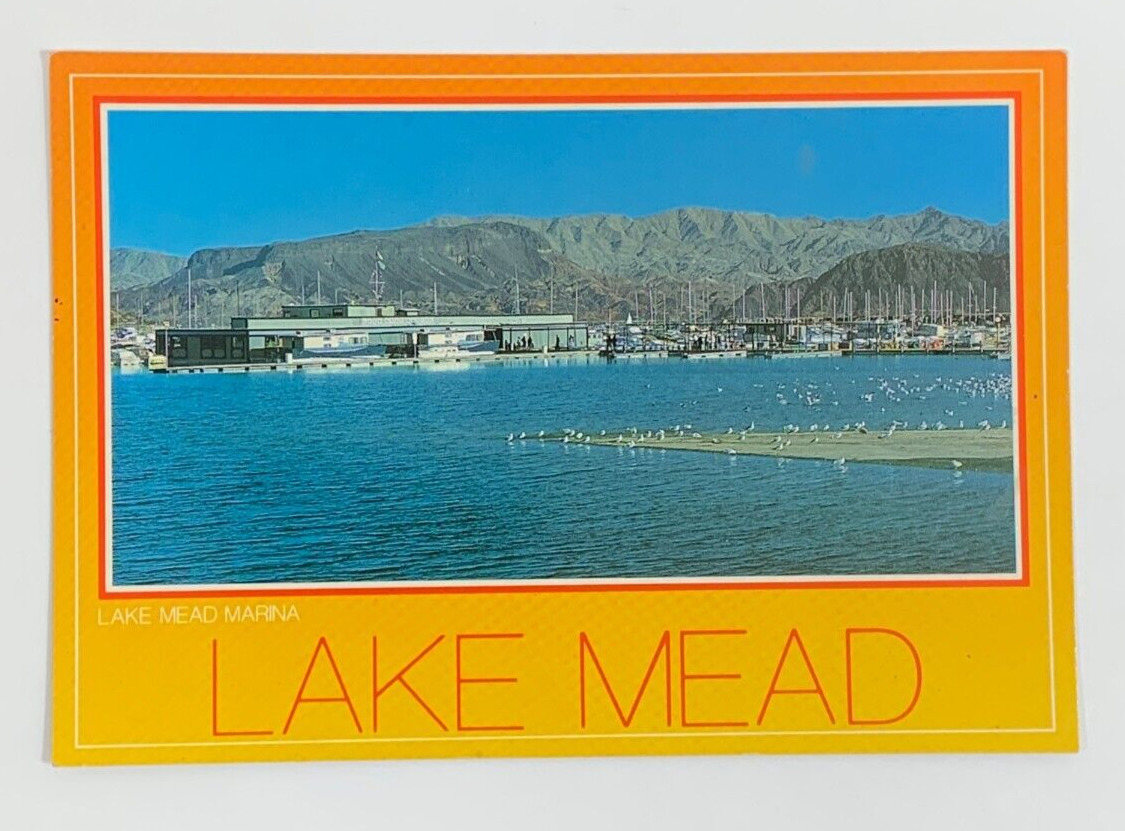 Lake Mead Marina Lake Mead Nevada Postcard Unposted