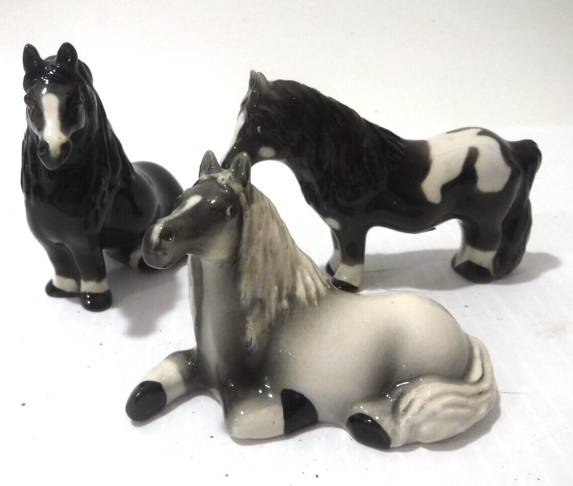 Cheval Miniature Ponies 3\