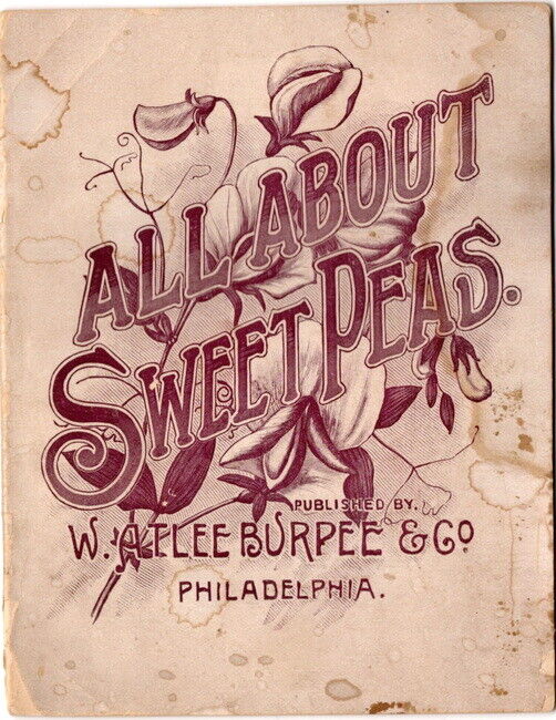 All About Sweet Peas, W. Atlee Burpee & Co., 1892, RARE first edition