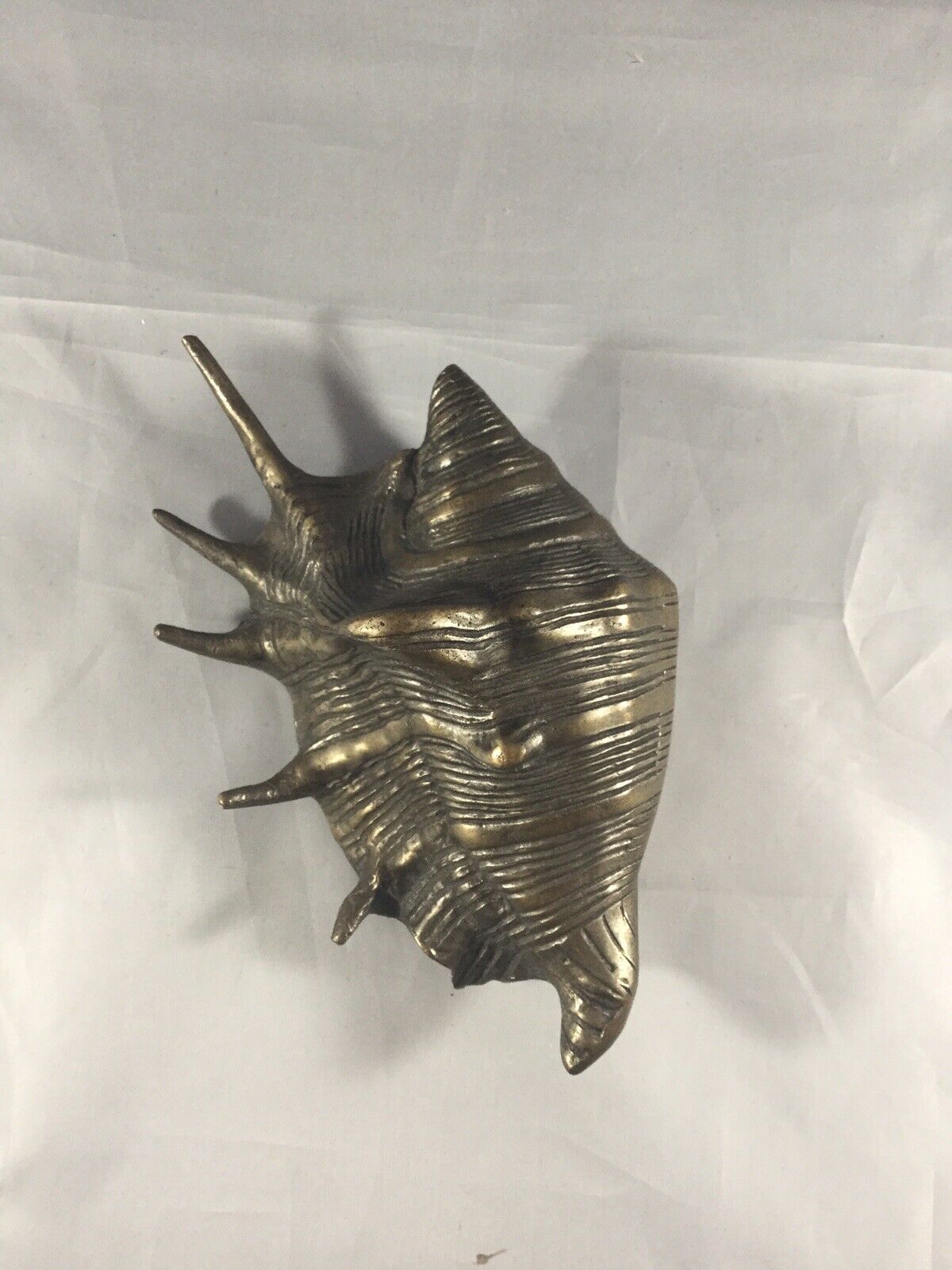 Vintage Bronze Spider Conch Seashell 7” Long