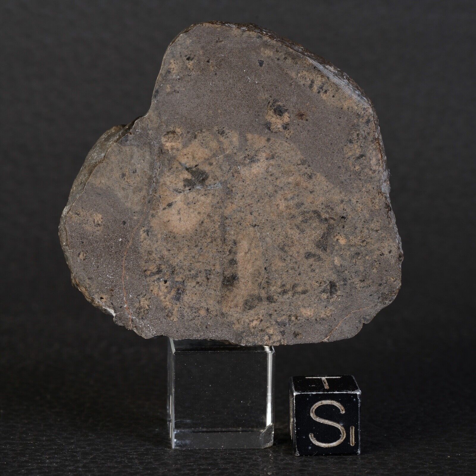 Meteorite Jikharra 001 Of 32,43 G Achondrite Eucrite Melt Breccia Hed #D82.2-4