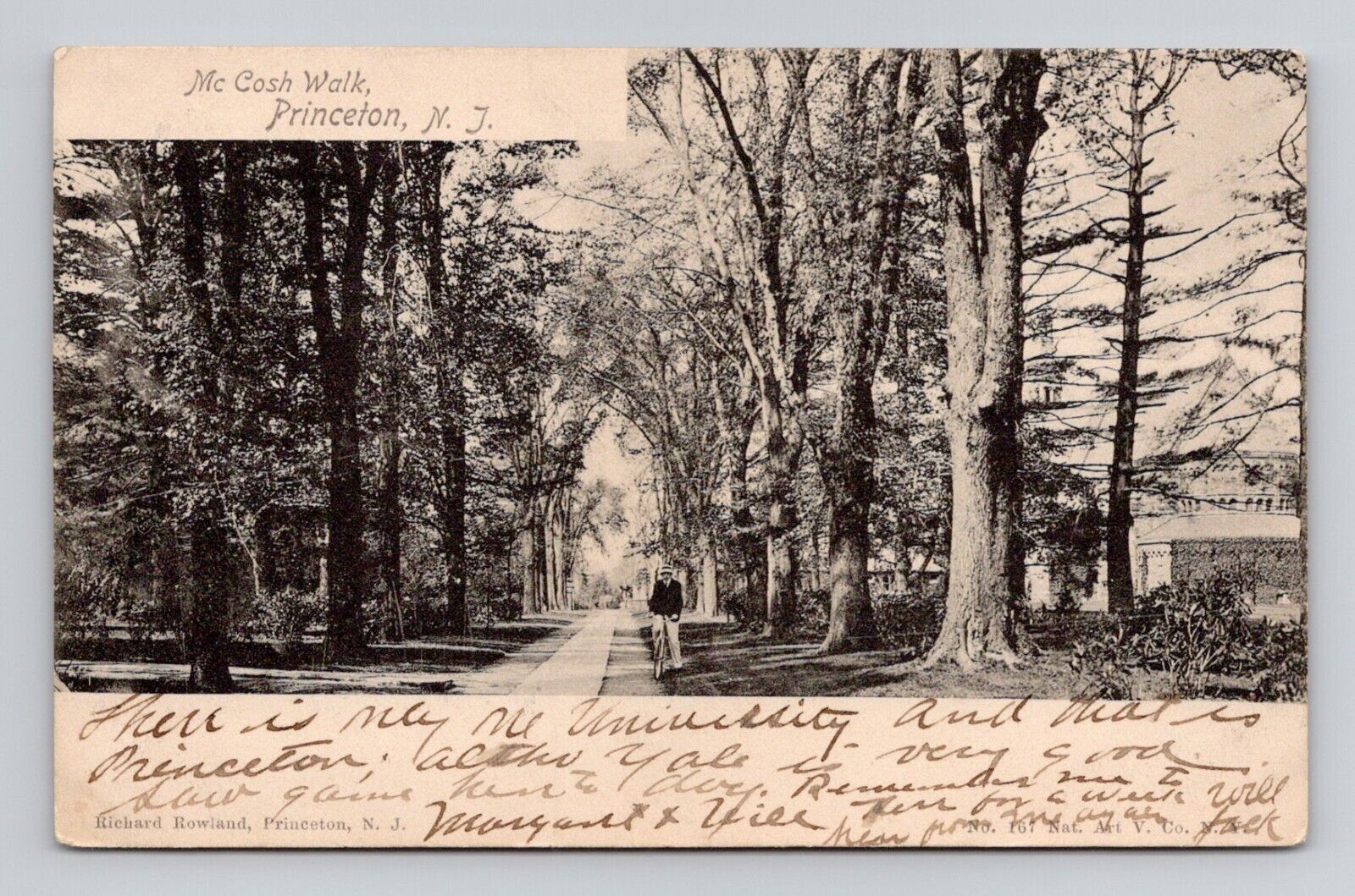 Postcard McCosh Walk Princeton New Jersey NJ, 1904 Antique D10