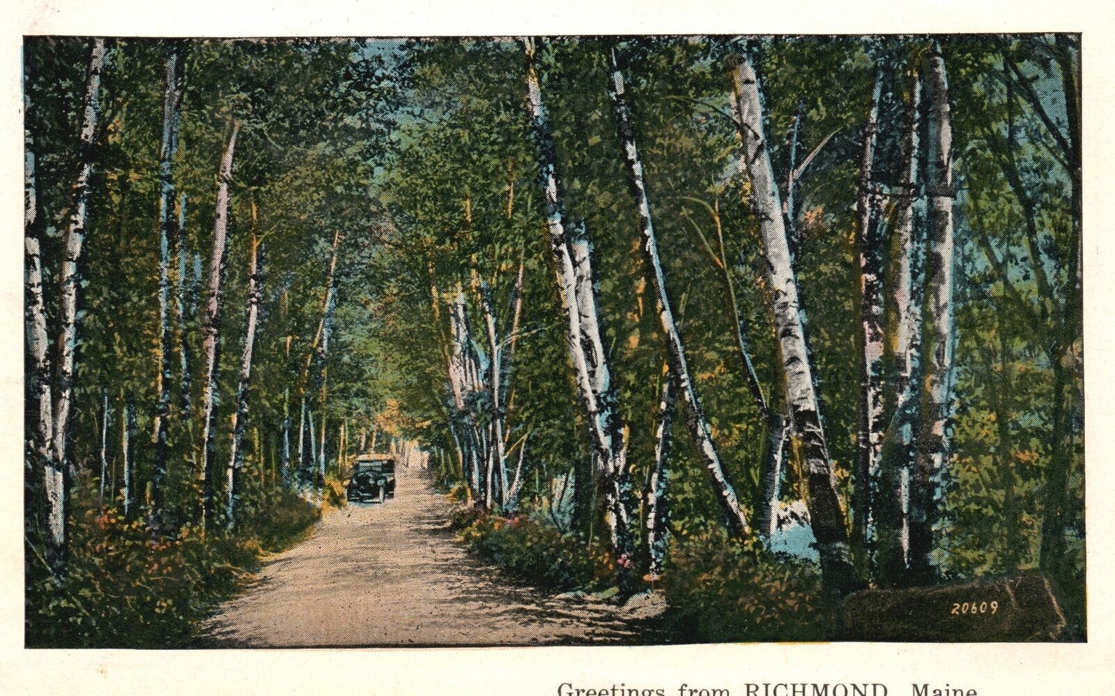 1931 Greetings From Richmond Maine ME Driveway Along The Forest Vintage Postcard