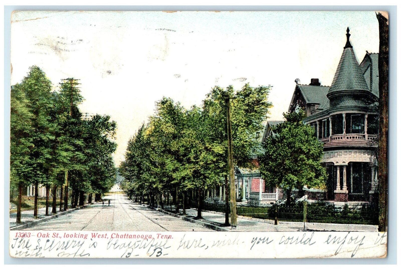 1907 Oak Street Looking West Trees Chattanooga Tennessee TN Residences Postcard