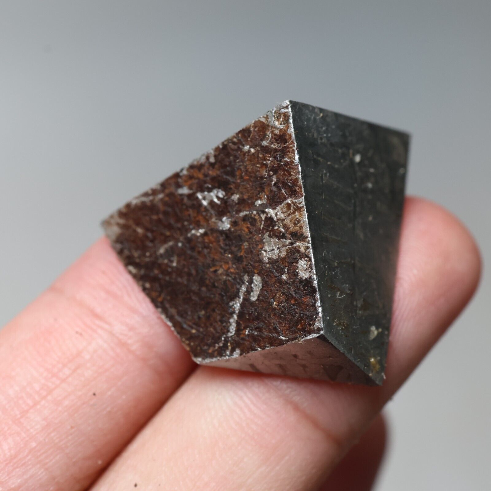 21g  Muonionalusta meteorite part slice C7826