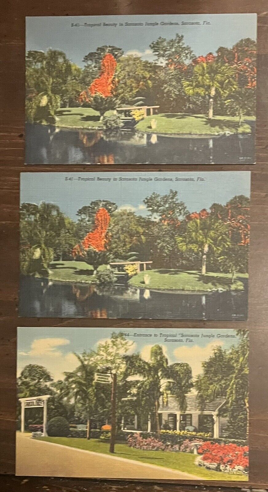 Vintage Linen Postcards Lot Of 3 Sarasota FL