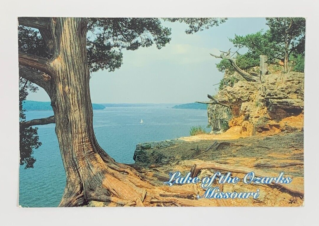 Lake of the Ozarks The Land of the Magic Dragon Missouri Postcard Unposted