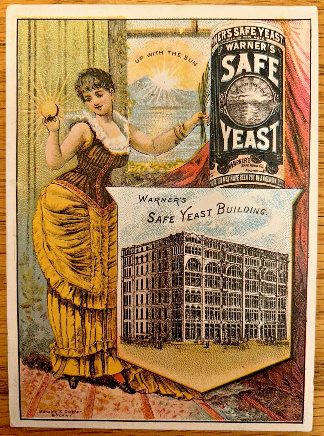Victorian Trade Card Antique Warner's Safe Yeast Beautiful Woman New York Look