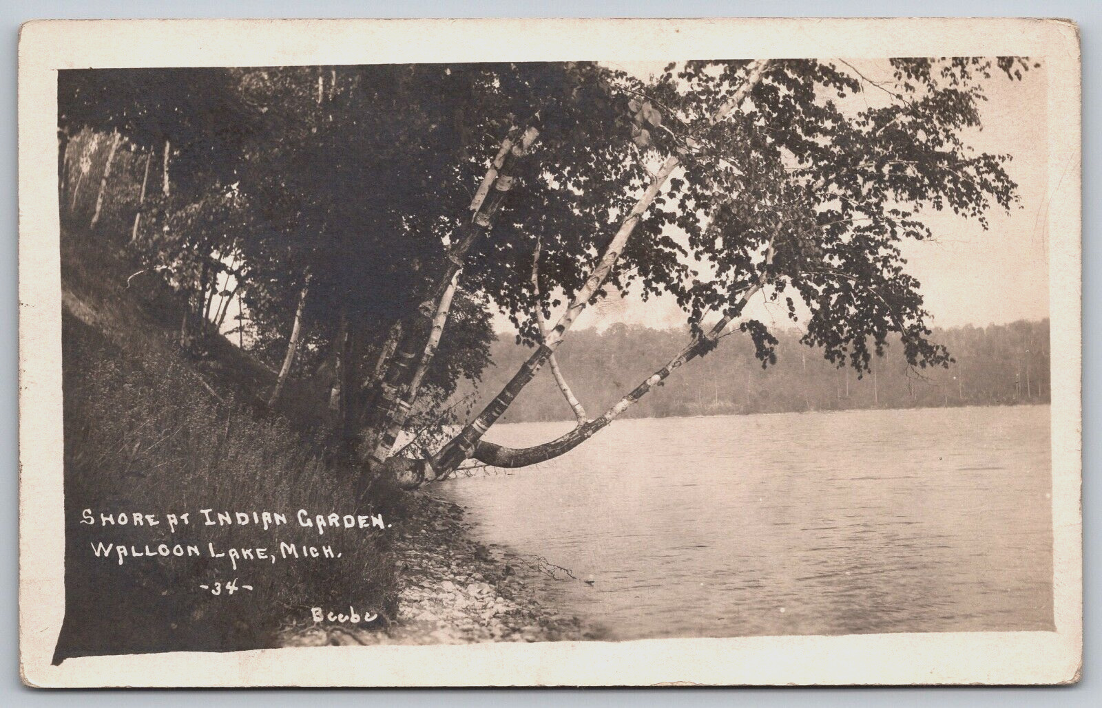 Postcard RPPC Shore At Indian Garden Walloon Lake Michigan Unposted