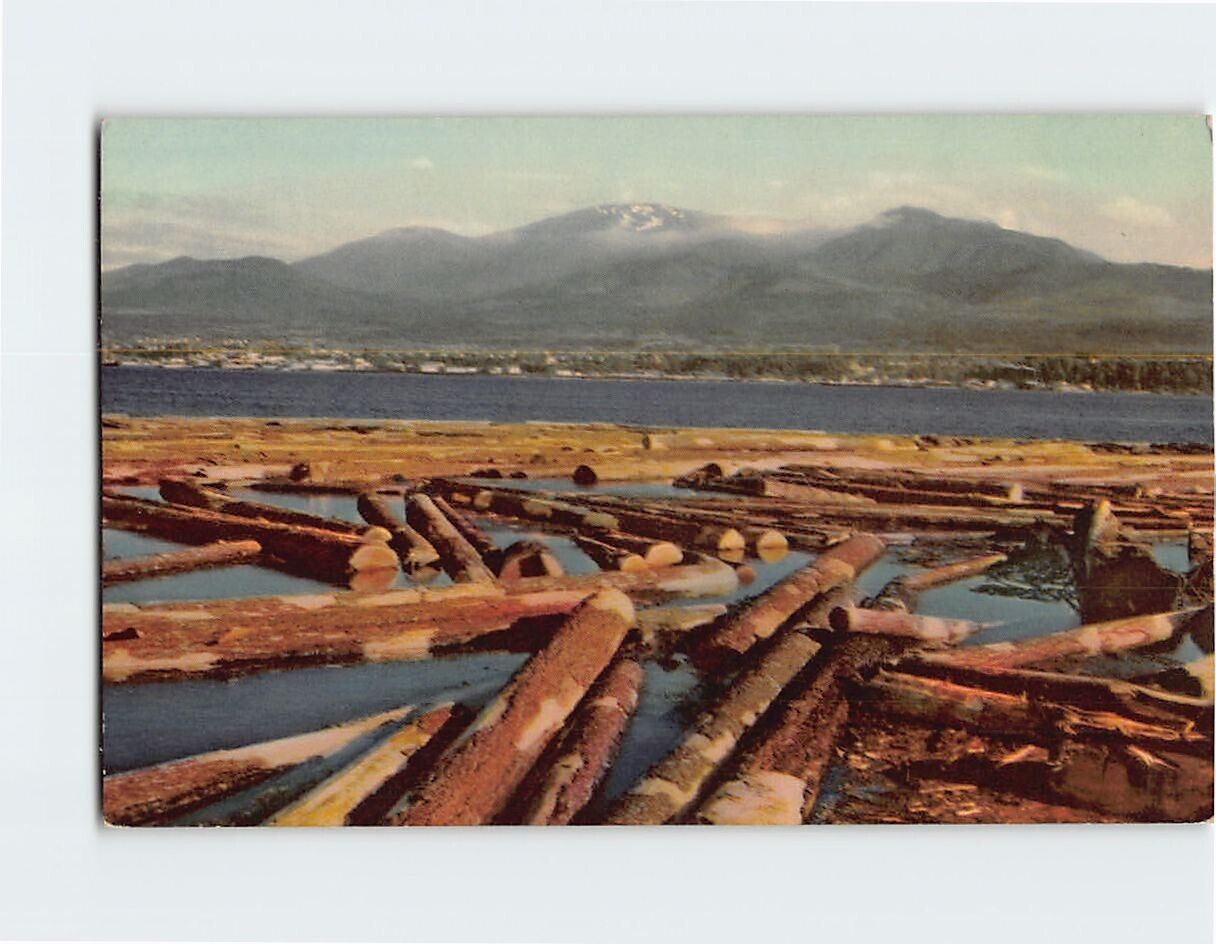 Postcard Timber Giant Logs Port Angeles Juan De Fuca Straits Washington USA