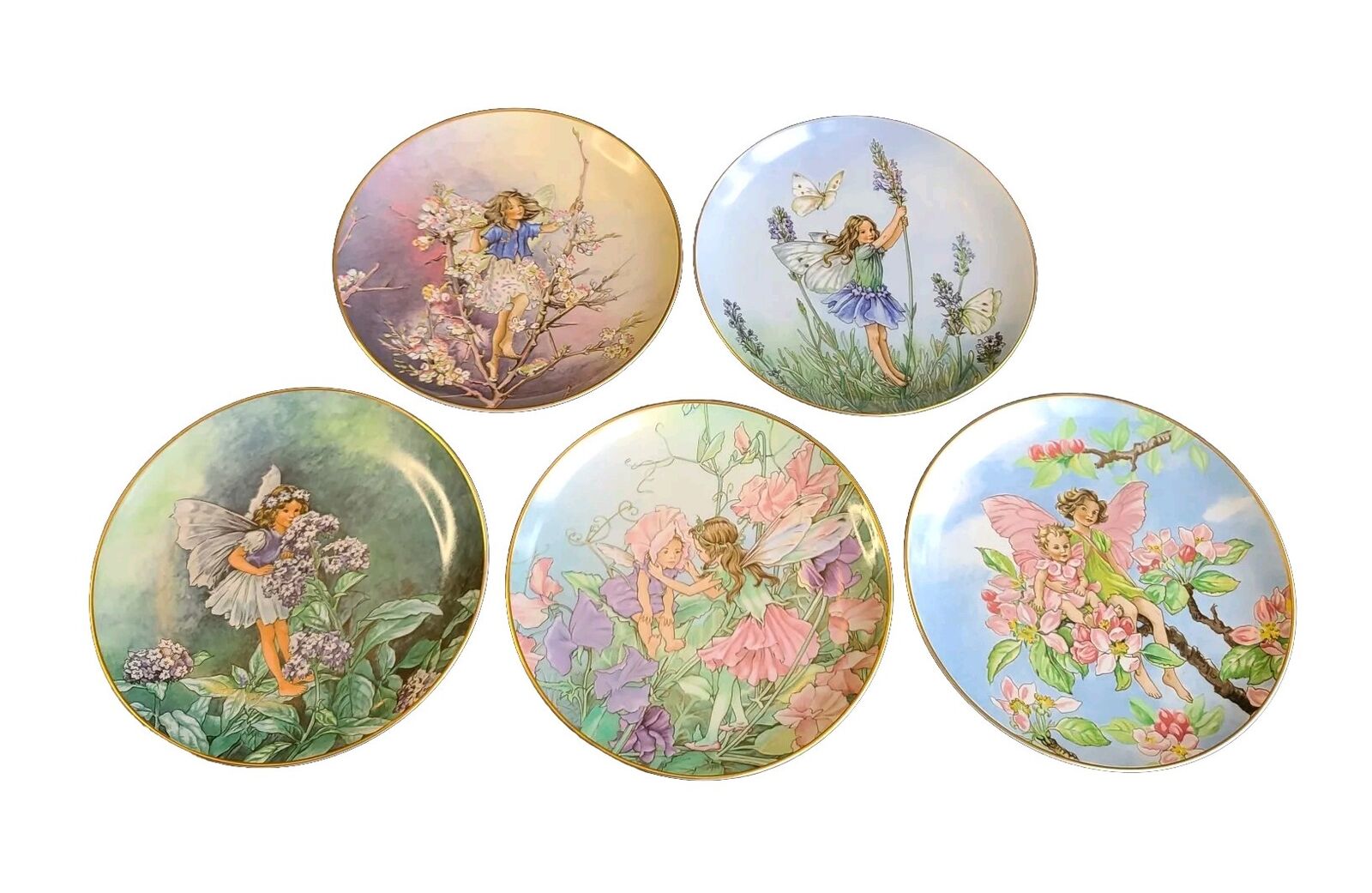 Flower Fairies Collector Plates Heinrich Villeroy & Boch Germany 5 Pcs 8