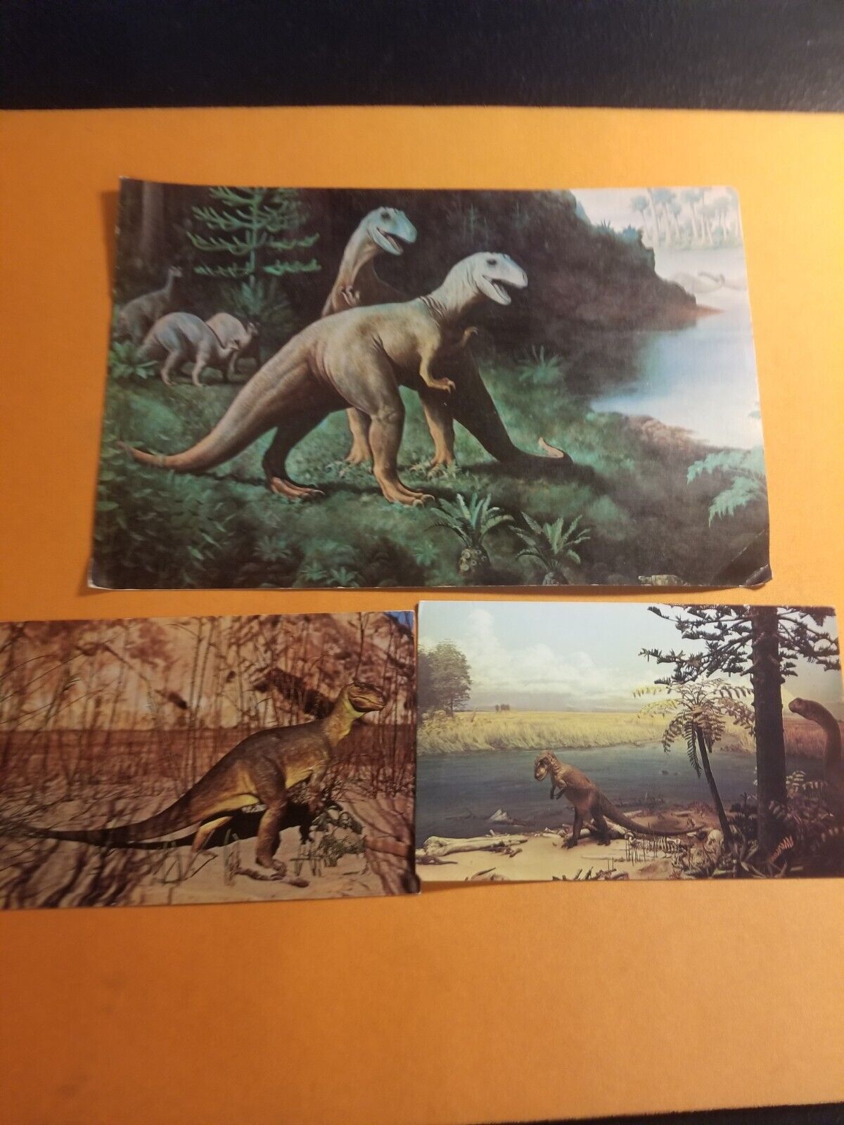 Vintage dinosaur postcards Made  In America    Museum of natural history