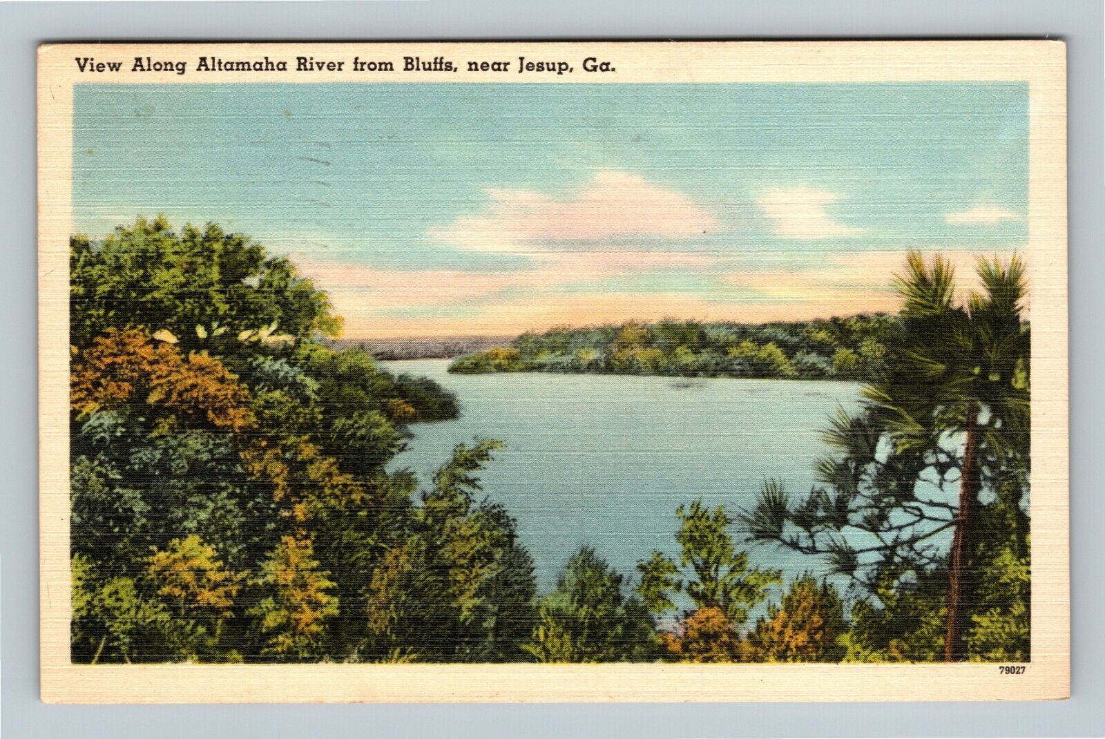 Jesup GA, View Along Altamaha River From Bluffs, Georgia c1951 Vintage Postcard