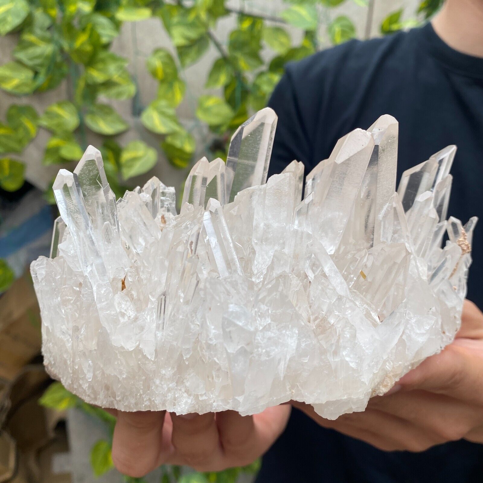2.7LB Large Natural White Clear Quartz Crystal Cluster Raw Healing Specimen